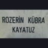 yasin kayatuz 的头像