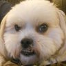 Profilbild von Cooldudestudio