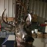 Ben Schmitke's profile picture