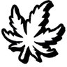 Profilbild von Paton