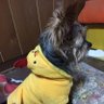 みぞ 的头像