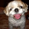 Harley Jean Matta's profile picture