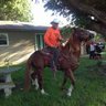 Braulio Sanchez's profile picture