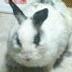 ちゃっきぃ's profile picture