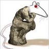Ratty Finklestein profil fotoğrafı