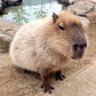 eri profil fotoğrafı