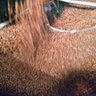 Sebascoffee's profile picture