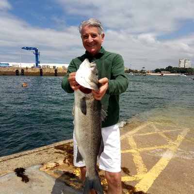Samuel Gutiérrez's profile picture