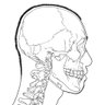 伊豆の美術解剖学者 profil fotoğrafı