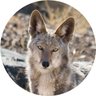 Profilbild von Jack Gahteaux