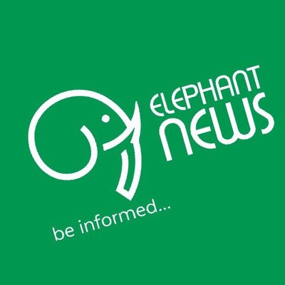 elephantnewsgh's profile picture