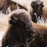 64 National Parks's profile picture
