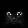 G-Shane's profile picture