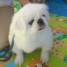 養老のフッちゃん。's profile picture