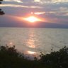 irene randall's profile picture