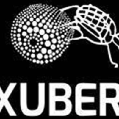 xuberaird's profile picture