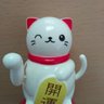 利ちゃん profil fotoğrafı