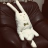 Фото профиля やすこ