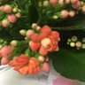 Фото профиля Dimeunpocolamoceta