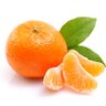 Mandalina profil fotoğrafı