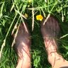 annie taylor's profile picture