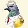 Pigeon killer23 profil fotoğrafı