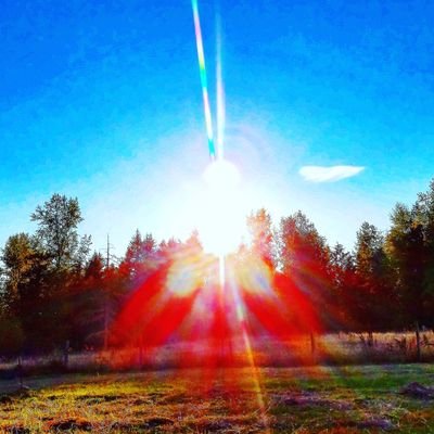 Martin cabello III's profile picture
