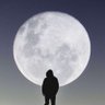 Profilbild von أبوصهيب