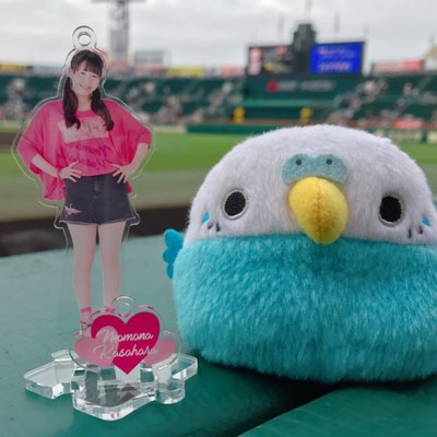 akari⚾️'s profile picture