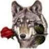 José Miguel's profile picture