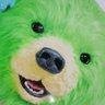 クマの3たろう's profile picture
