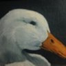 Profilbild von Linda Myers