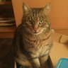 Namenloses profil fotoğrafı