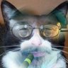 Profilbild von scottkane