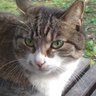 Profilbild von take-mabu