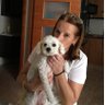 M.Pujol's profile picture