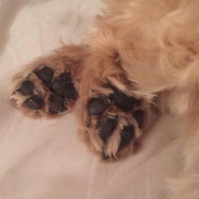 VirgMey75's profile picture