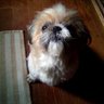 tsuki3333's profile picture