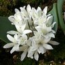 Фото профиля iroirokininaru