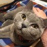 まきぽんたん's profile picture
