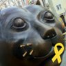 MiauPuntoRajoy🎗 profil fotoğrafı