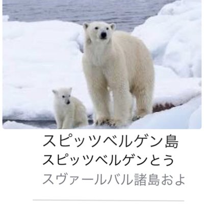 svalbard_guitar's profile picture