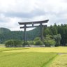 Profilbild von とにかく手を洗うつなぽん