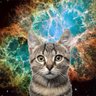 Nova_Cat profil fotoğrafı