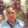 Profilbild von Willy Mori-Pinedo