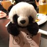 のり太郎🐼🦄⭐️ profil fotoğrafı