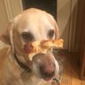 Ty Barrong's profile picture
