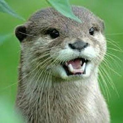 75gly's profile picture