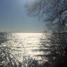 Profilbild von Ian Howard