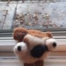WindowPet 的头像